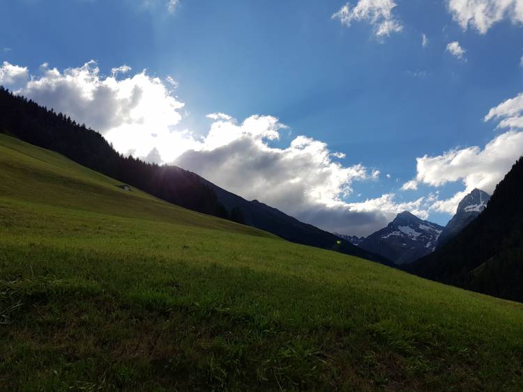 20180626_074606.jpg