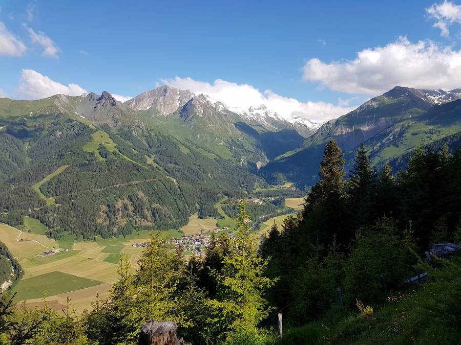 20180626_084952.jpg