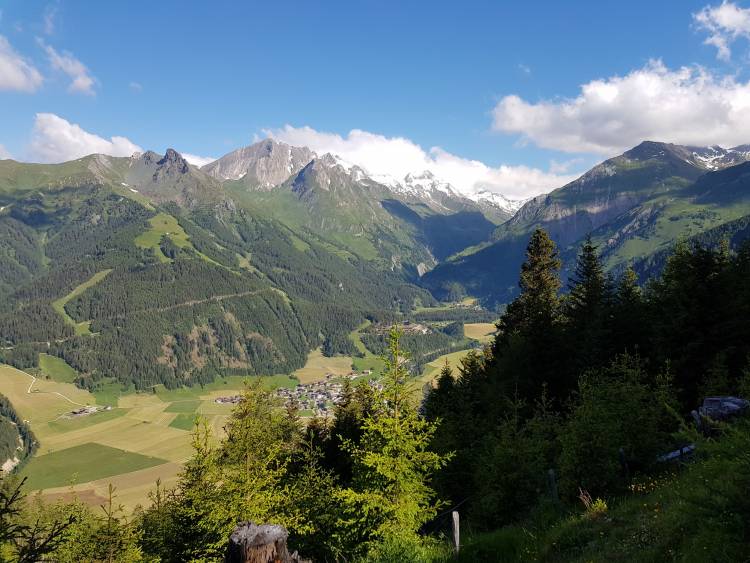 20180626_084952.jpg