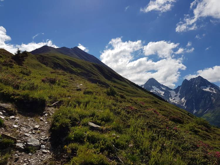 20180626_094851.jpg
