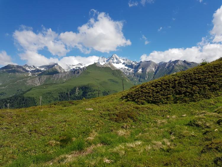 20180626_095521.jpg