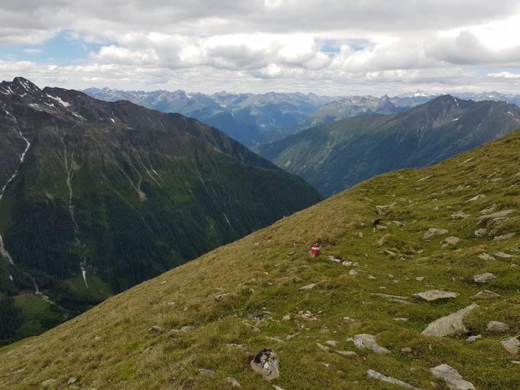 20180626_123524.jpg