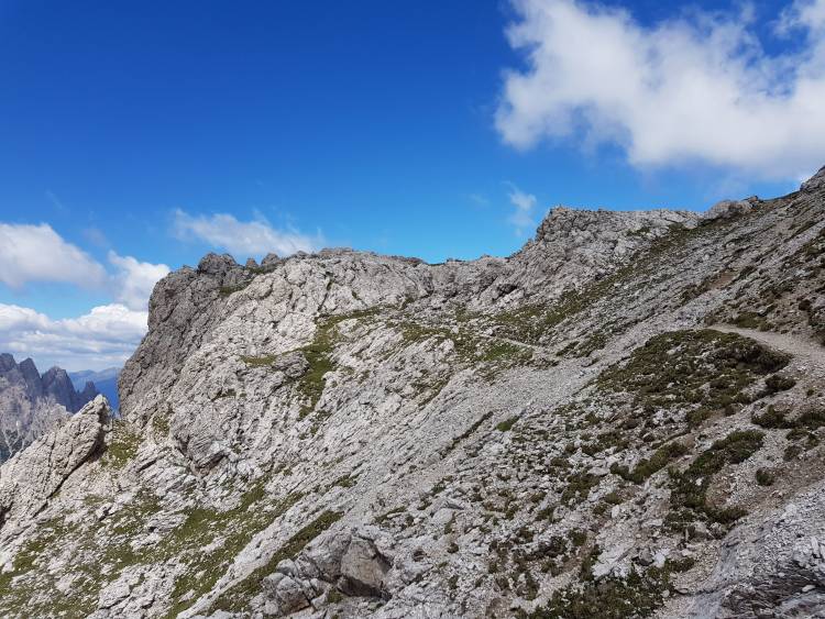 20180627_113828.jpg