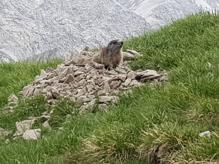 20180627_122123.jpg