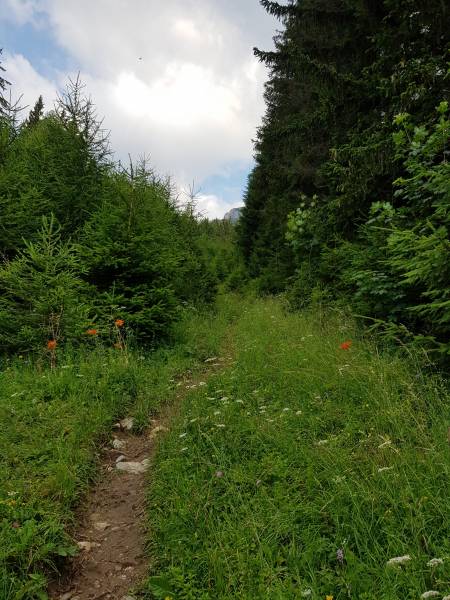 20180630_075737.jpg