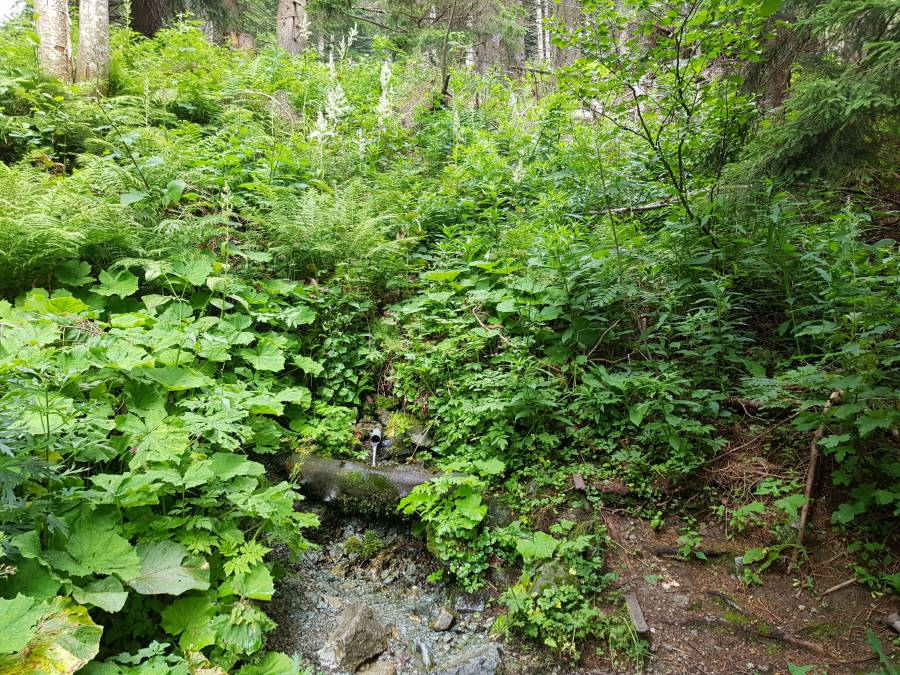 20180630_081706.jpg