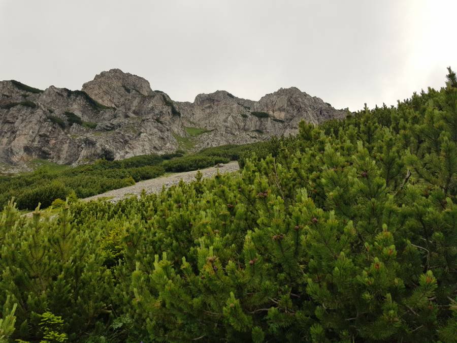 20180630_090757.jpg