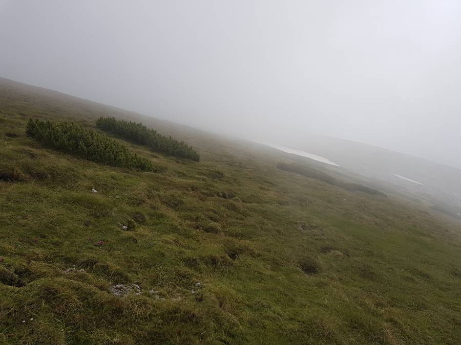 20180630_094411.jpg 20180630_094411.jpg