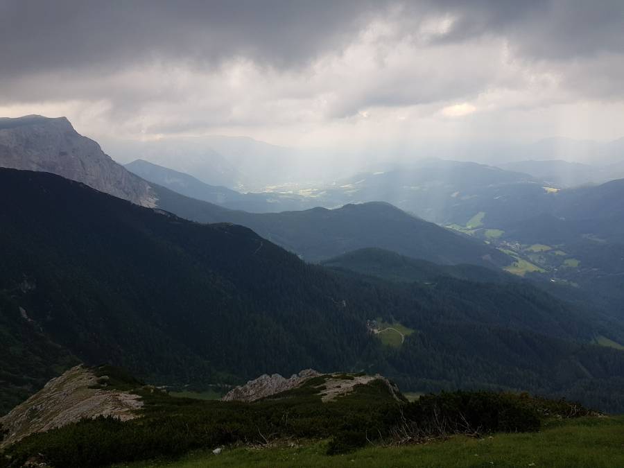 20180630_101155.jpg
