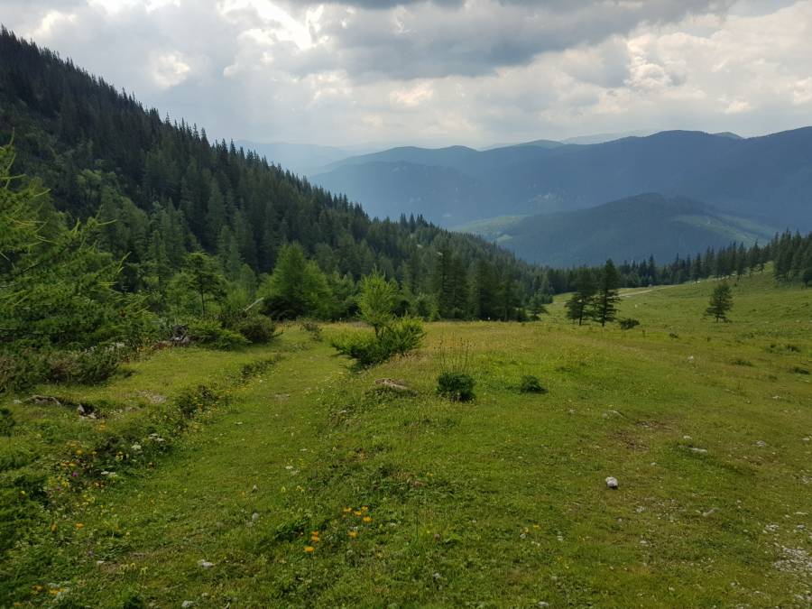 20180630_104257.jpg