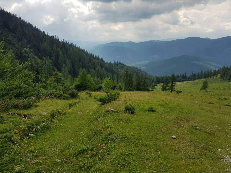 20180630_104257.jpg