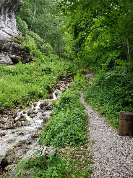 20180707_073344.jpg