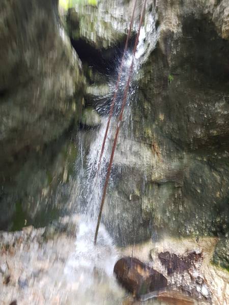 20180707_084919.jpg
