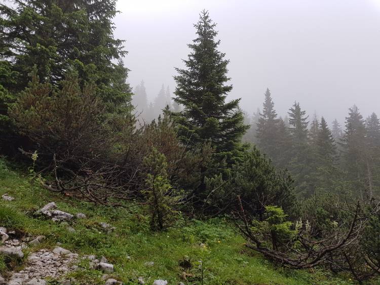 20180707_101218.jpg