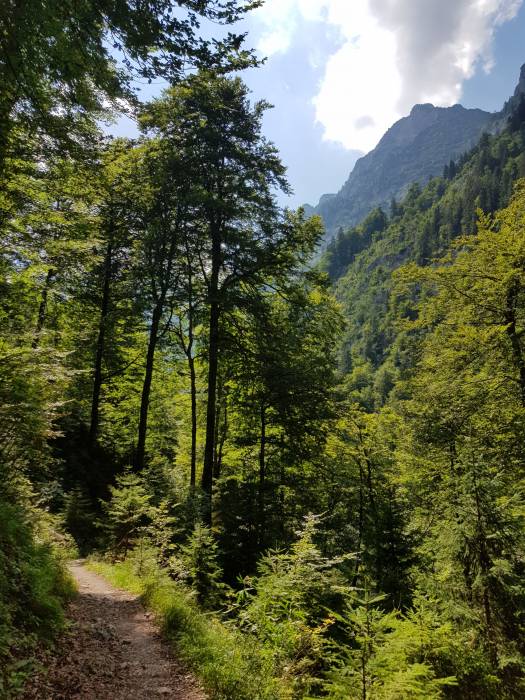 20180719_151231.jpg