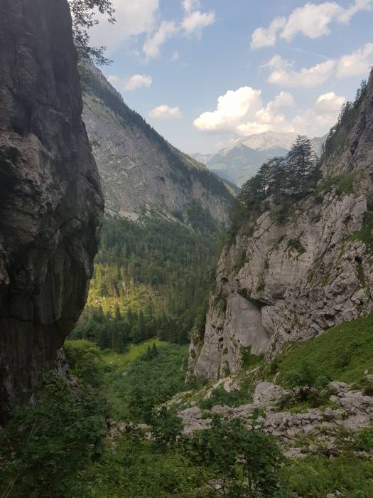 20180719_161425.jpg