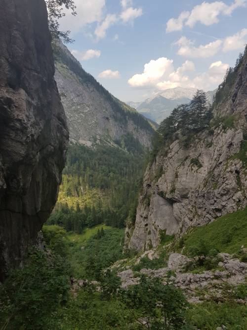 20180719_161425.jpg