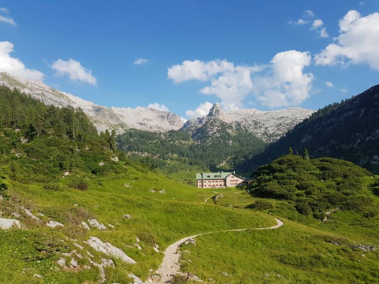 20180719_180450.jpg