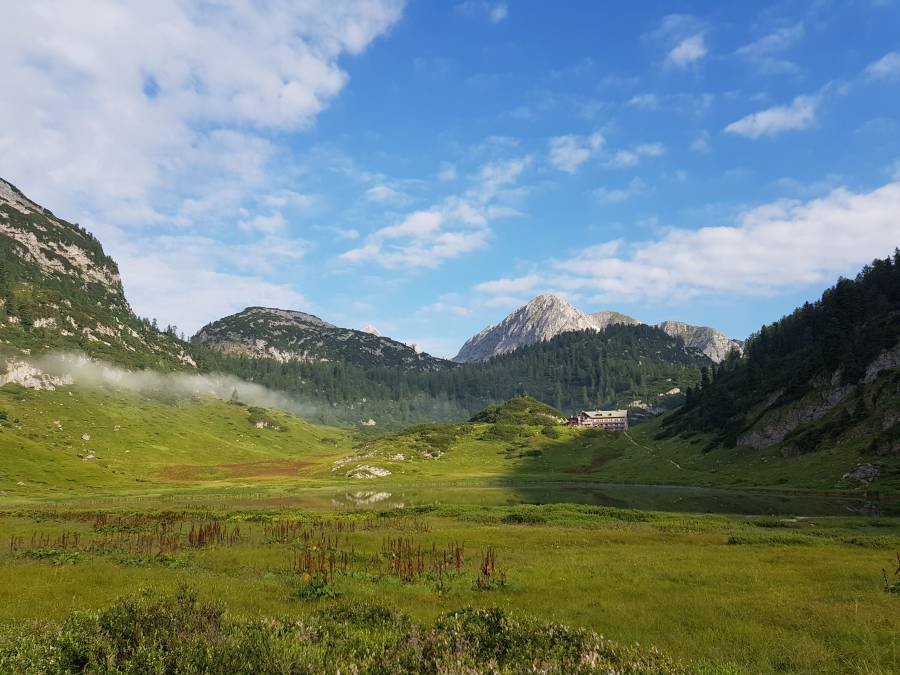 20180720_080456.jpg
