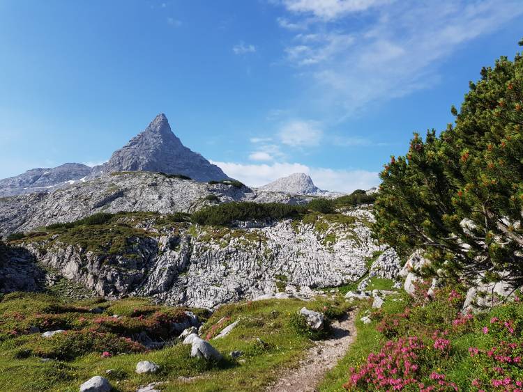 20180720_091221.jpg