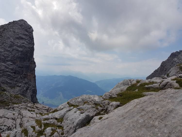 20180720_120101.jpg