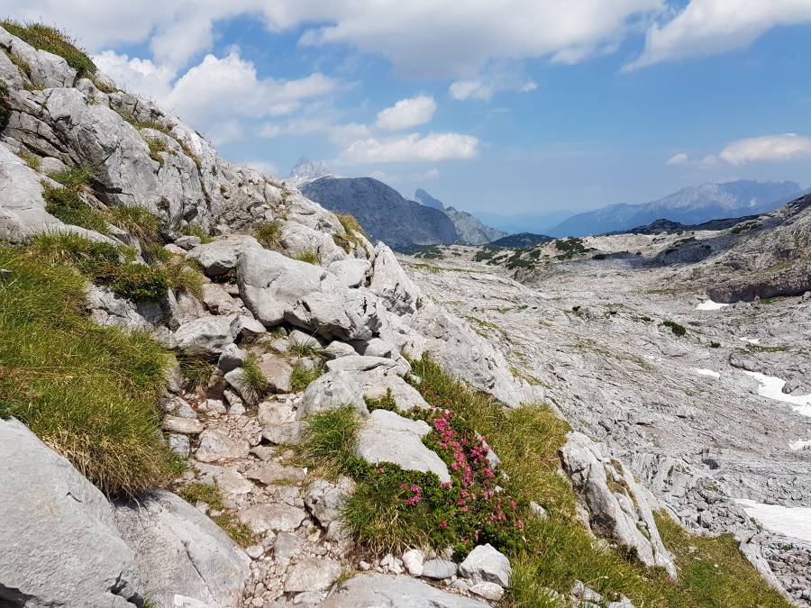 20180720_125743.jpg