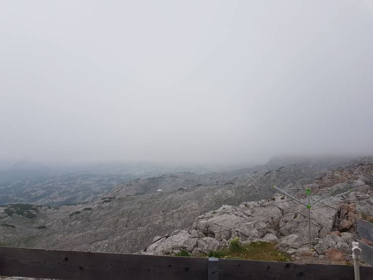 20180721_074458.jpg