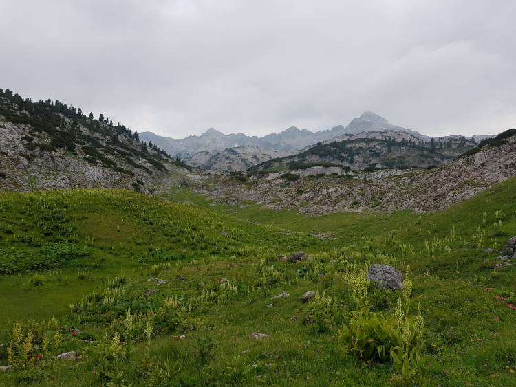 20180721_091620.jpg