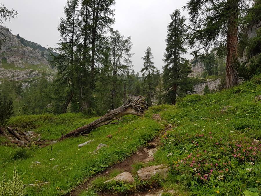 20180721_095048.jpg