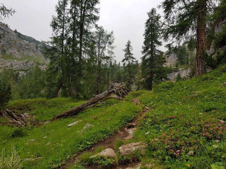 20180721_095048.jpg