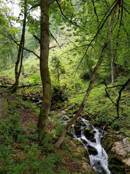 20180721_134834.jpg
