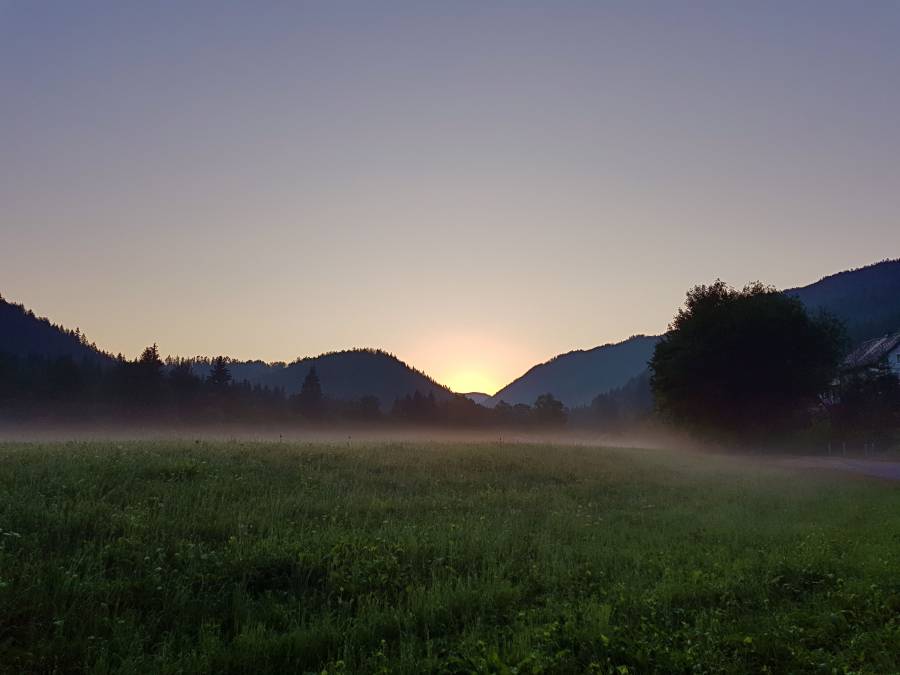 20180804_060152.jpg