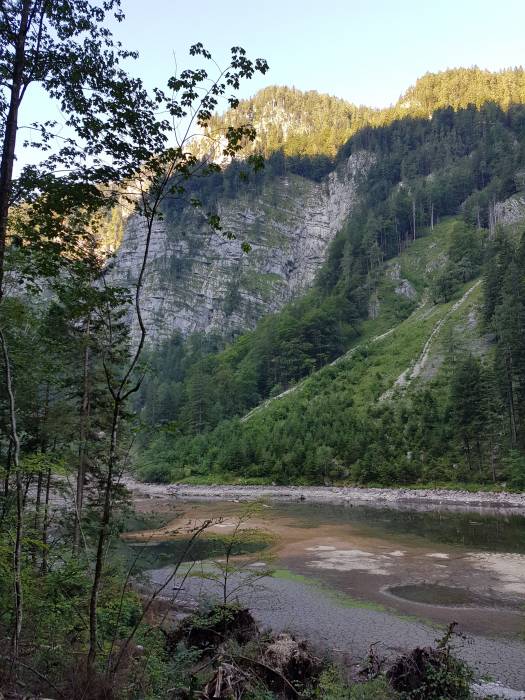 20180804_073315.jpg