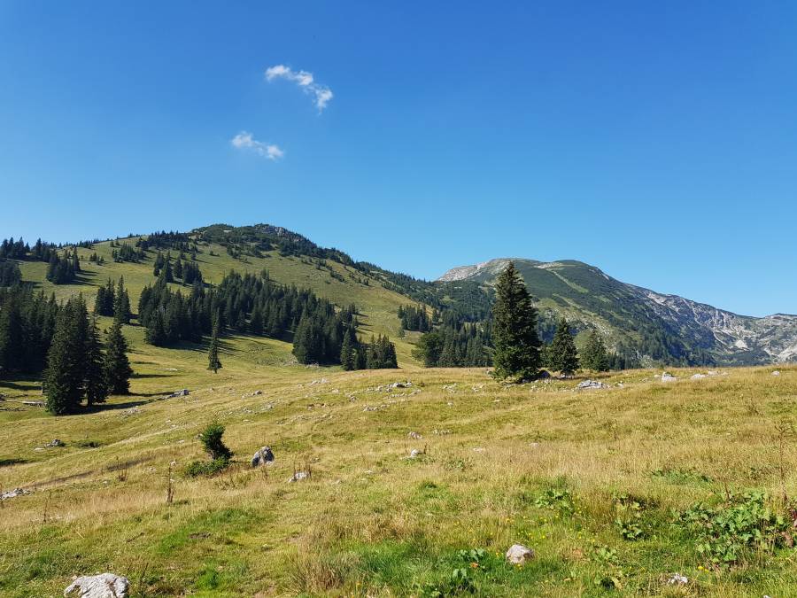 20180804_094058.jpg