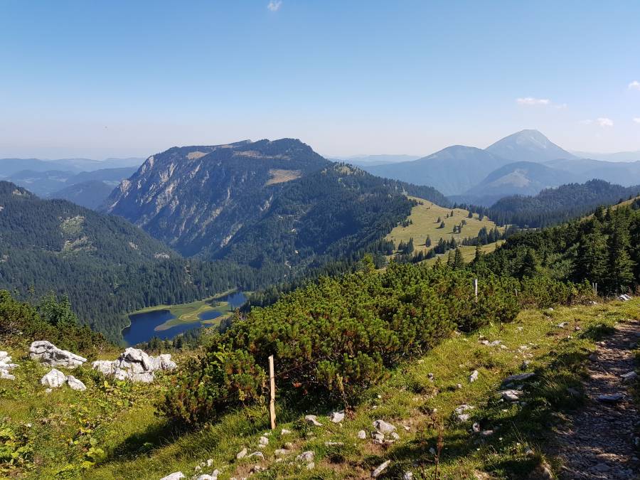 20180804_102050.jpg