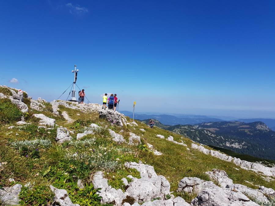 20180804_111555.jpg