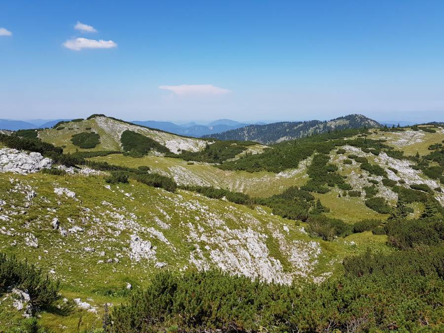 20180804_122903.jpg