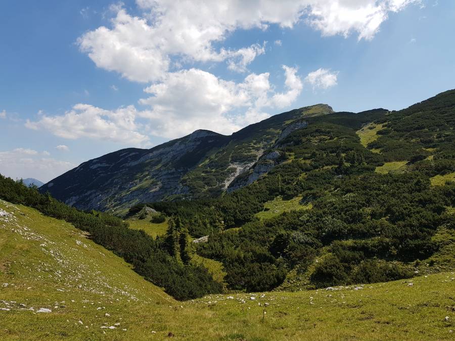 20180804_123551.jpg