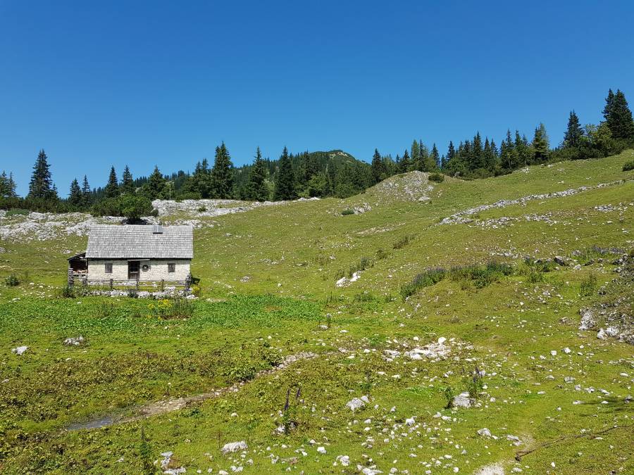 20180804_131529.jpg