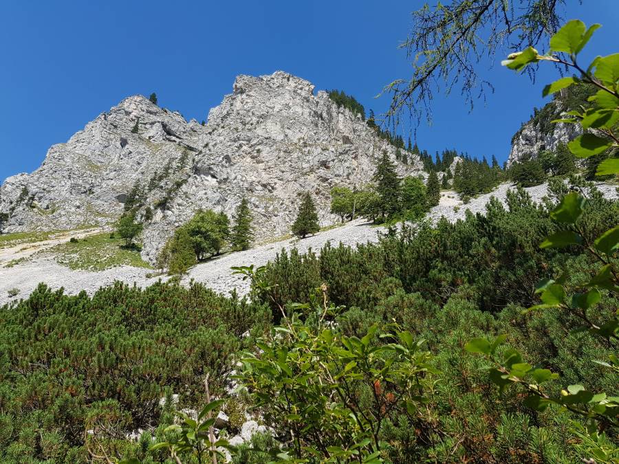 20180804_151231.jpg