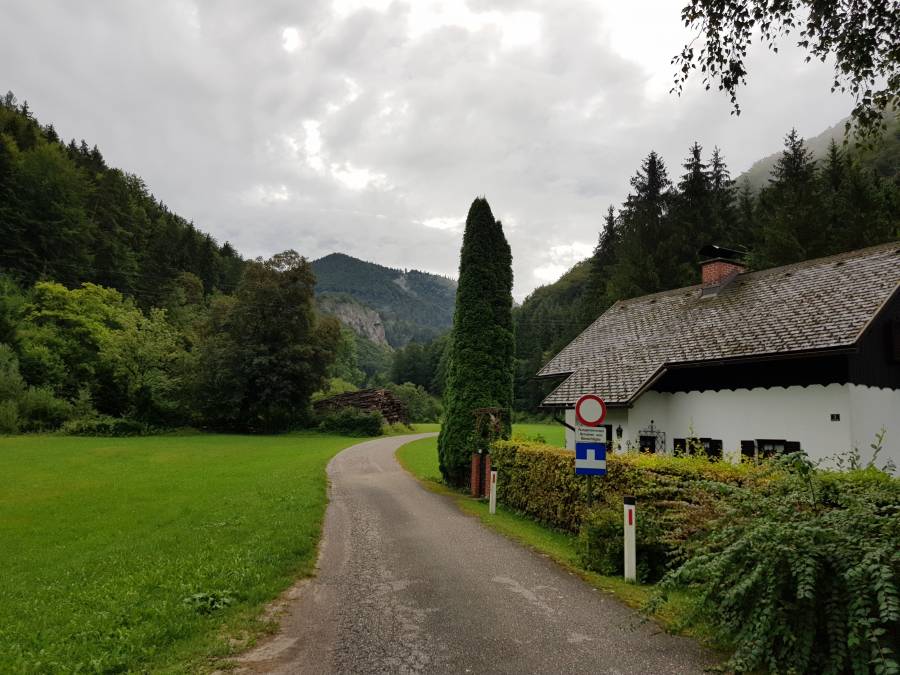 20180811_090714.jpg