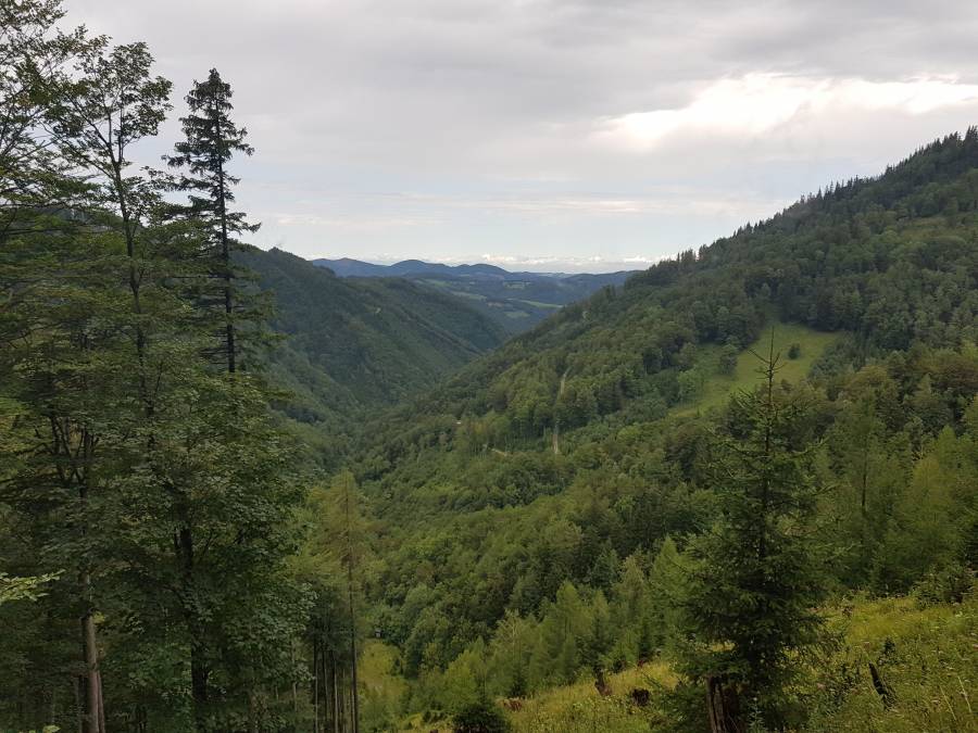 20180811_100812.jpg