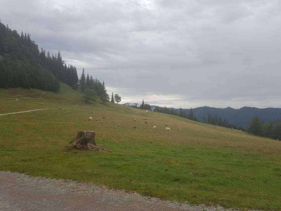 20180811_103015.jpg