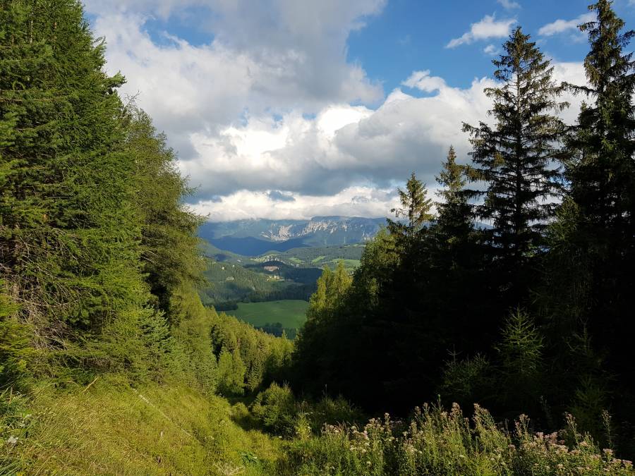20180815_084016.jpg