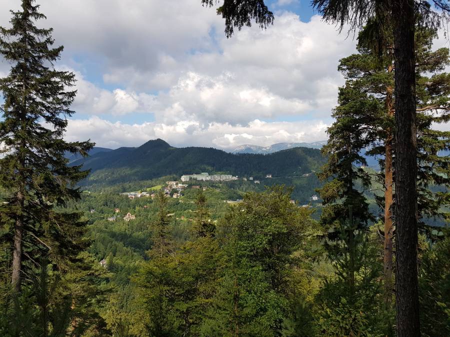 20180815_105109.jpg