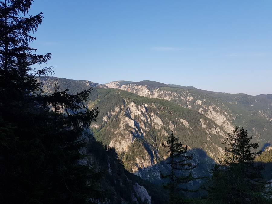 20180818_072956.jpg