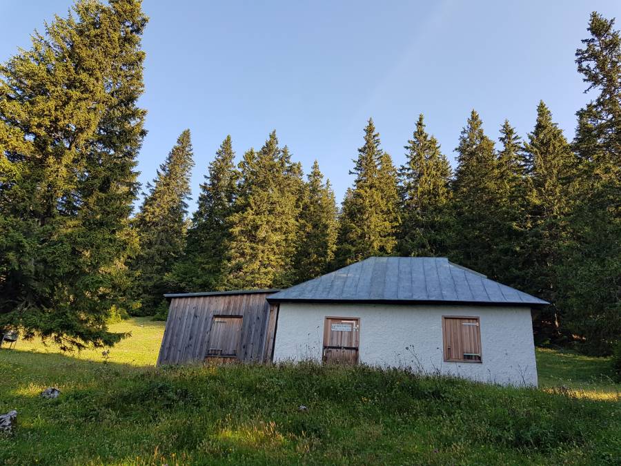 20180818_081314.jpg