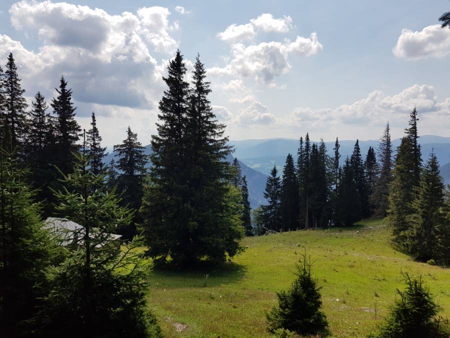 20180818_113523.jpg