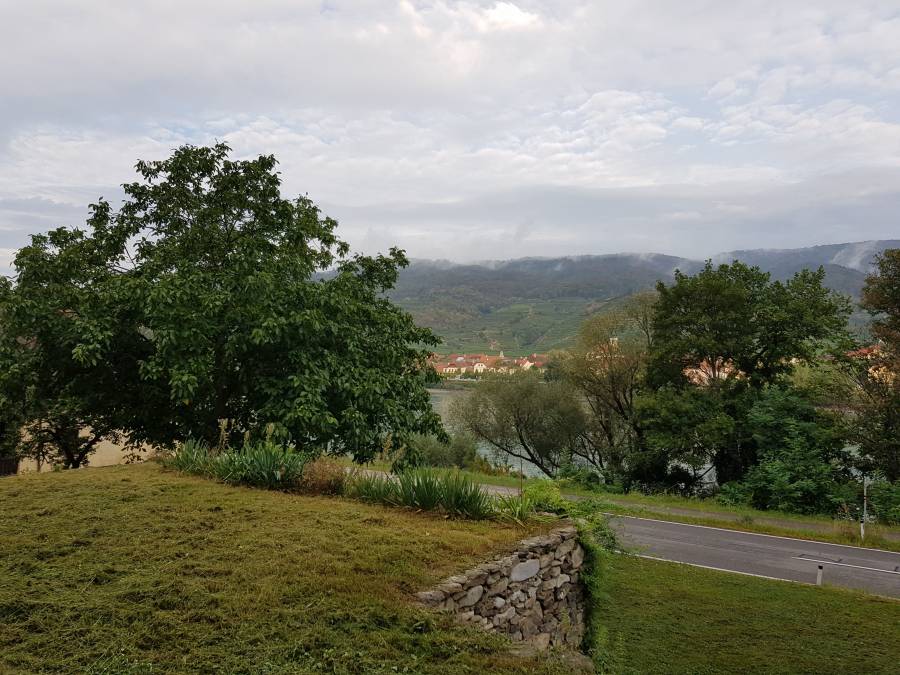 20180825_074436.jpg 20180825_074436.jpg