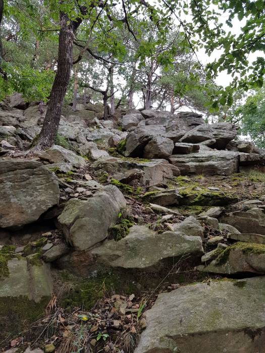 20180825_074924.jpg 20180825_074924.jpg